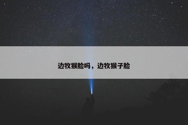 边牧猴脸吗,边牧猴子脸