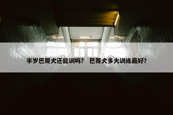 八哥 第9页