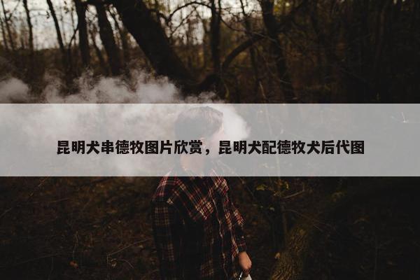 昆明犬串德牧图片欣赏，昆明犬配德牧犬后代图