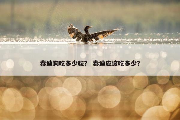 食量 第13页