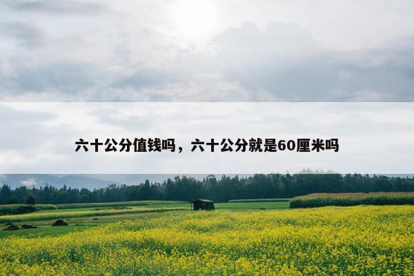 六十公分值钱吗，六十公分就是60厘米吗