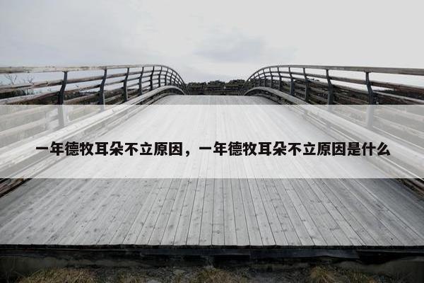 一年德牧耳朵不立原因，一年德牧耳朵不立原因是什么