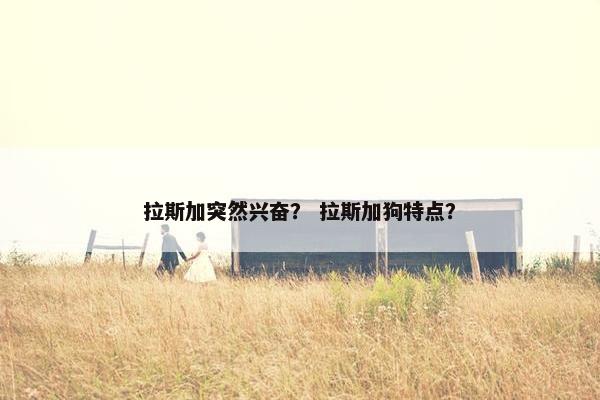 拉斯加突然兴奋？ 拉斯加狗特点？