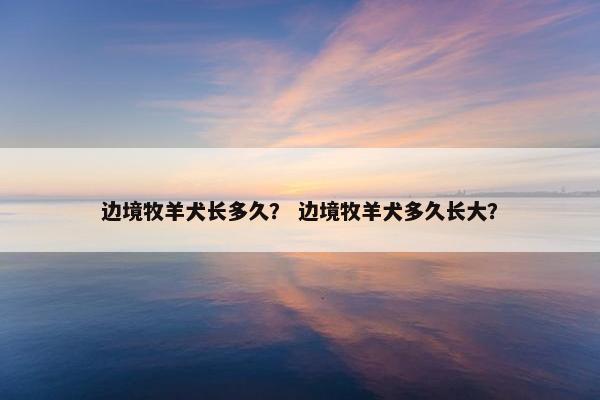 边境牧羊犬长多久？ 边境牧羊犬多久长大？