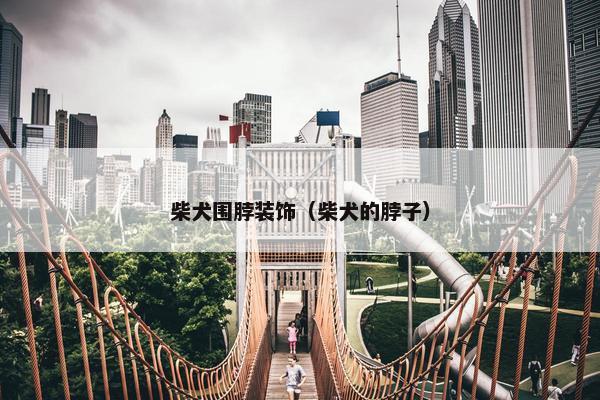 柴犬围脖装饰（柴犬的脖子）