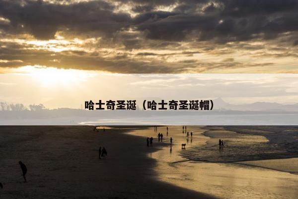 哈士奇圣诞（哈士奇圣诞帽）