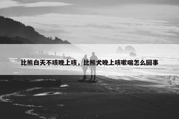 比熊白天不咳晚上咳,比熊犬晚上咳嗽喘怎么回事
