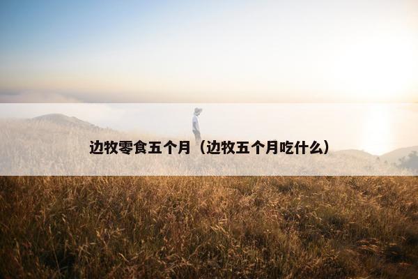 边牧零食五个月（边牧五个月吃什么）