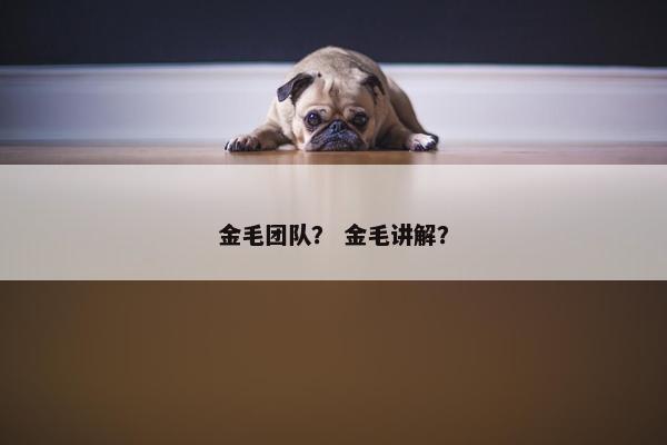 金毛团队？ 金毛讲解？