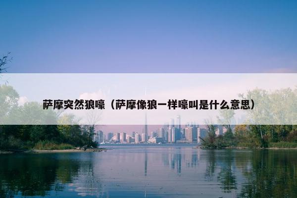 萨摩突然狼嚎(萨摩像狼一样嚎叫是什么意思)