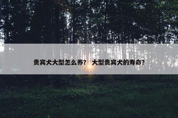 贵宾犬大型怎么养？ 大型贵宾犬的寿命？