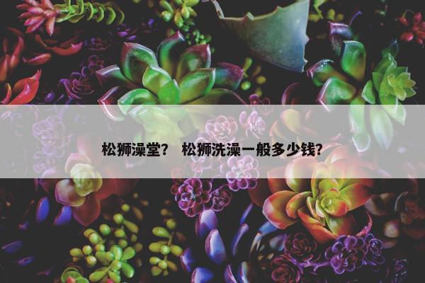 松狮澡堂？ 松狮洗澡一般多少钱？