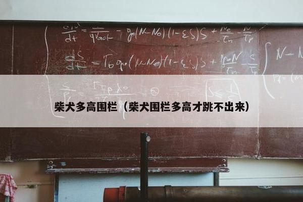 柴犬多高围栏（柴犬围栏多高才跳不出来）