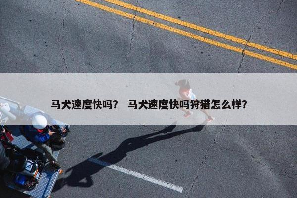 马犬速度快吗？ 马犬速度快吗狩猎怎么样？