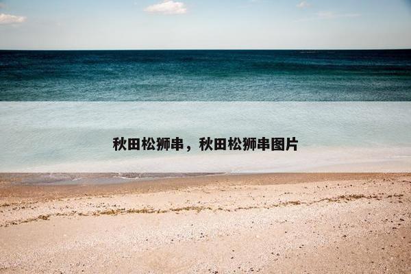 秋田松狮串，秋田松狮串图片