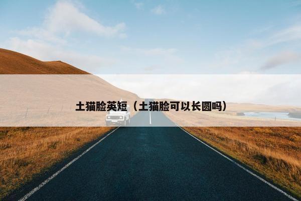 土猫脸英短(土猫脸可以长圆吗)