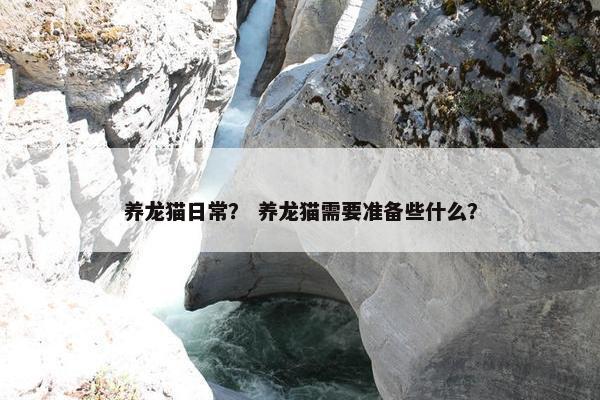 养龙猫日常？ 养龙猫需要准备些什么？
