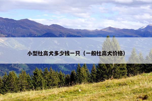 小型杜高犬多少钱一只（一般杜高犬价格）