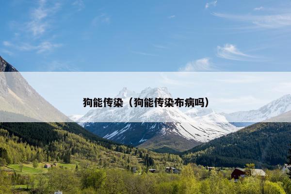狗能传染（狗能传染布病吗）