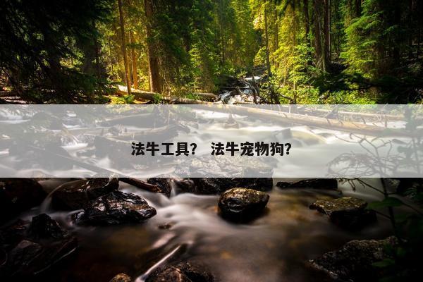 法牛工具? 法牛宠物狗?