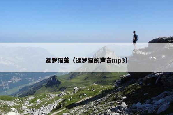 暹罗猫聋（暹罗猫的声音mp3）