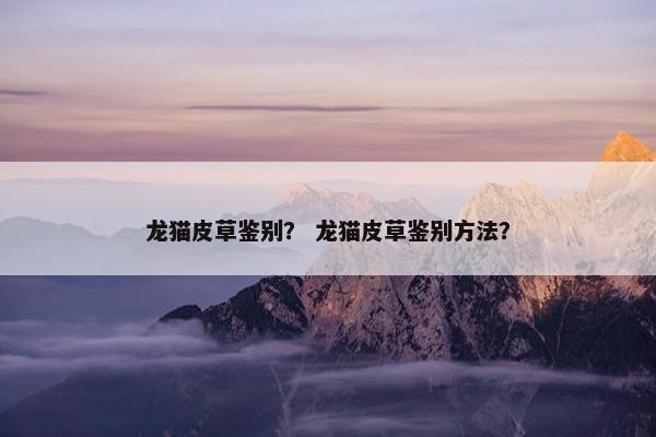 龙猫皮草鉴别？ 龙猫皮草鉴别方法？