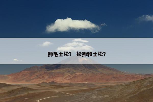 狮毛土松？ 松狮和土松？
