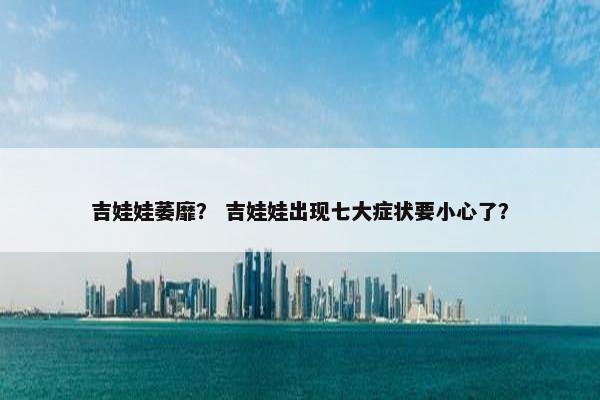 吉娃娃萎靡? 吉娃娃出现七大症状要小心了?