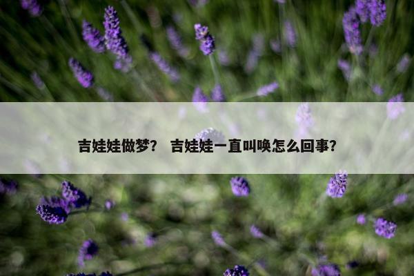 吉娃娃做梦？ 吉娃娃一直叫唤怎么回事？