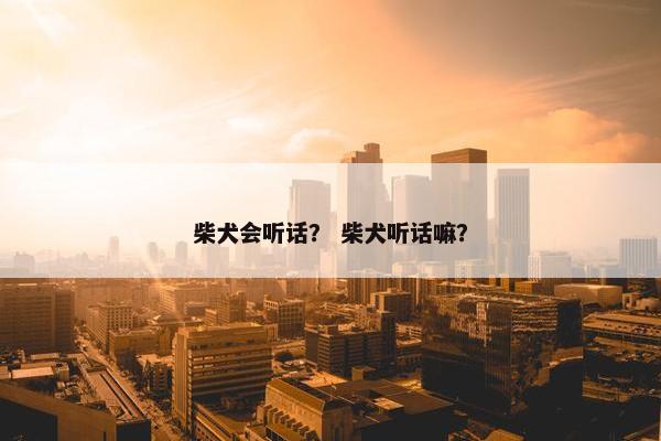 听话 第4页