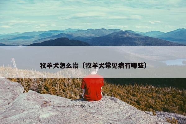 牧羊犬怎么治（牧羊犬常见病有哪些）