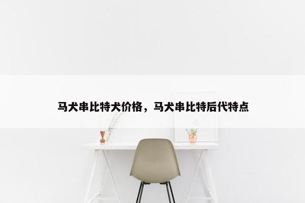 马犬串比特犬价格，马犬串比特后代特点