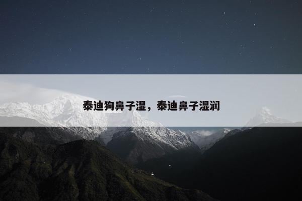 泰迪狗鼻子湿，泰迪鼻子湿润