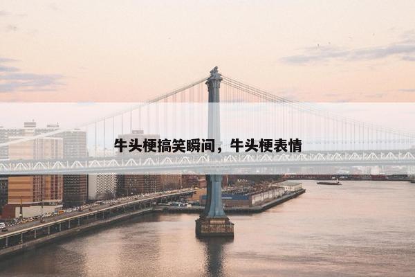 牛头梗搞笑瞬间，牛头梗表情