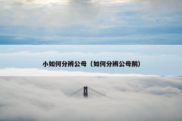 小如何分辨公母（如何分辨公母鹅）