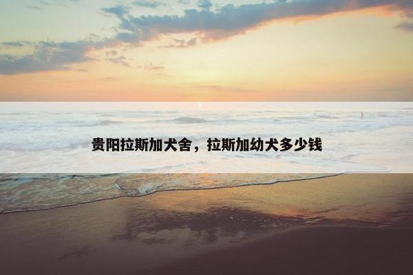 贵阳拉斯加犬舍,拉斯加幼犬多少钱