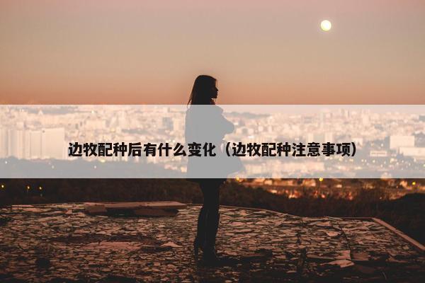 基因 第13页