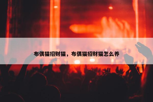布偶猫招财猫，布偶猫招财猫怎么养