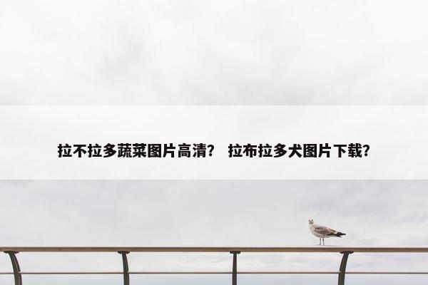 拉不拉多蔬菜图片高清? 拉布拉多犬图片下载?