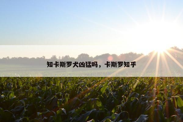 知卡斯罗犬凶猛吗，卡斯罗知乎