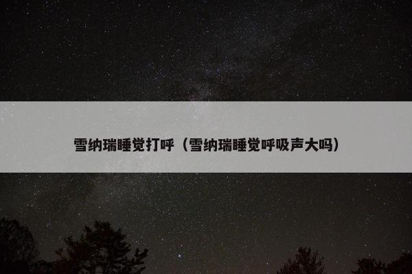 雪纳瑞睡觉打呼（雪纳瑞睡觉呼吸声大吗）