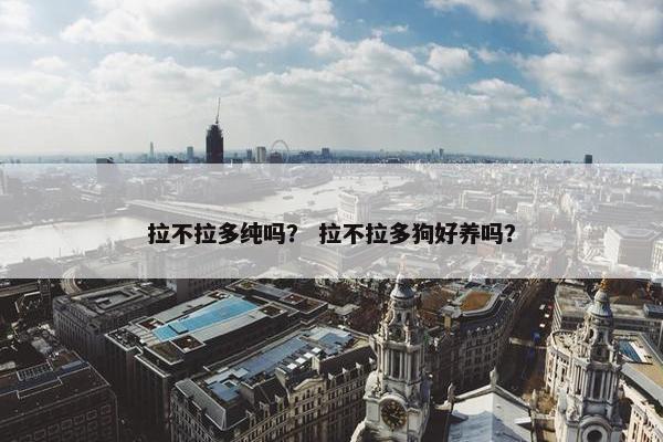 拉不拉多纯吗？ 拉不拉多狗好养吗？