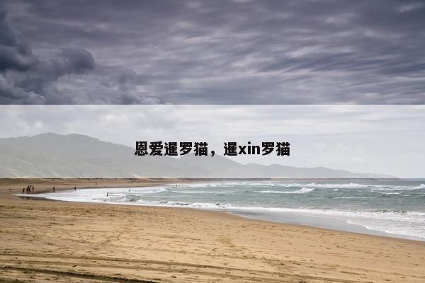 恩爱暹罗猫，暹xin罗猫