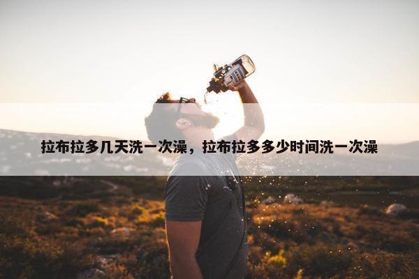 拉布拉多几天洗一次澡，拉布拉多多少时间洗一次澡