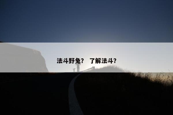 法斗野兔? 了解法斗?