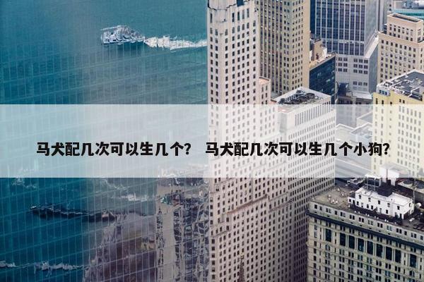 马犬配几次可以生几个？ 马犬配几次可以生几个小狗？