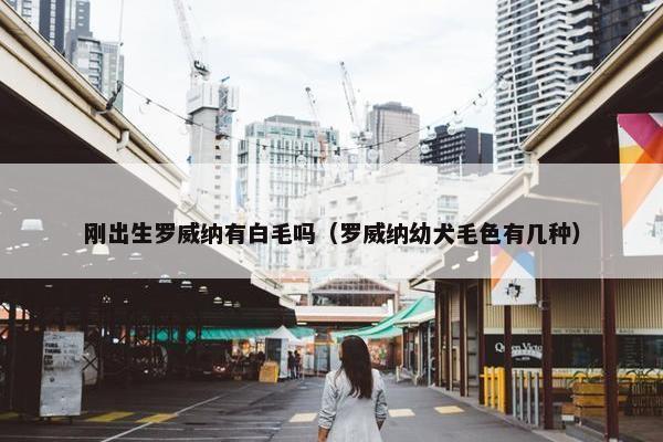 刚出生罗威纳有白毛吗(罗威纳幼犬毛色有几种)