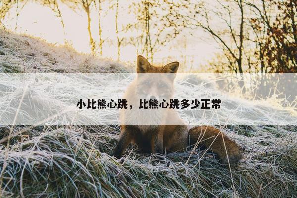 小比熊心跳，比熊心跳多少正常
