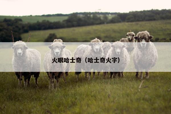 火眼哈士奇（哈士奇火字）