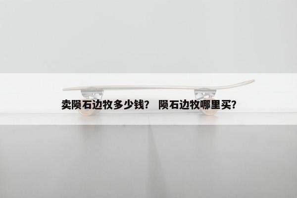 卖陨石边牧多少钱？ 陨石边牧哪里买？